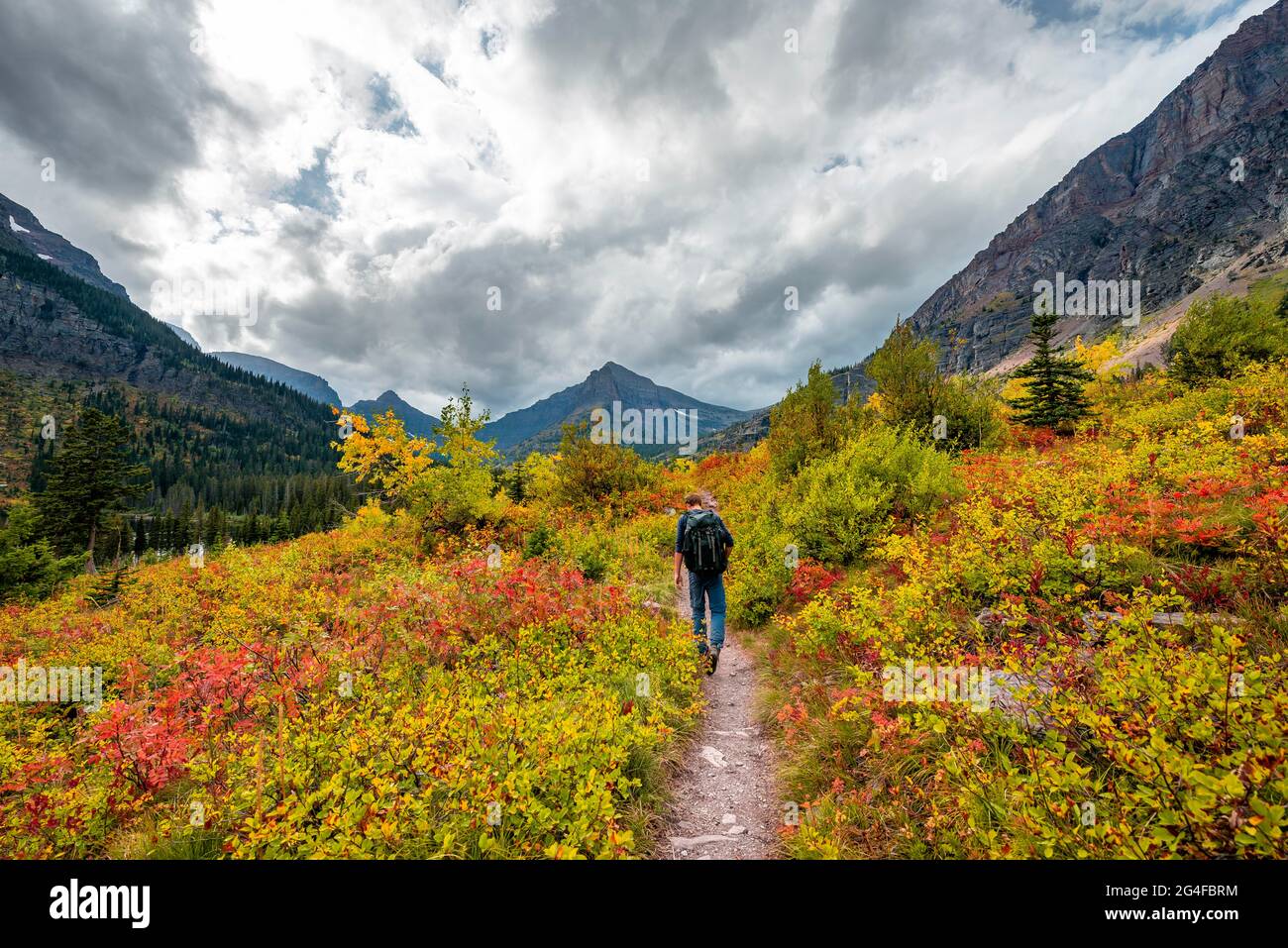 Escursionisti su un sentiero attraverso il paesaggio di montagna, cespugli in colori autunnali, escursioni al lago Upper Two Medicine, Glacier National Park, Montana, Stati Uniti Foto Stock