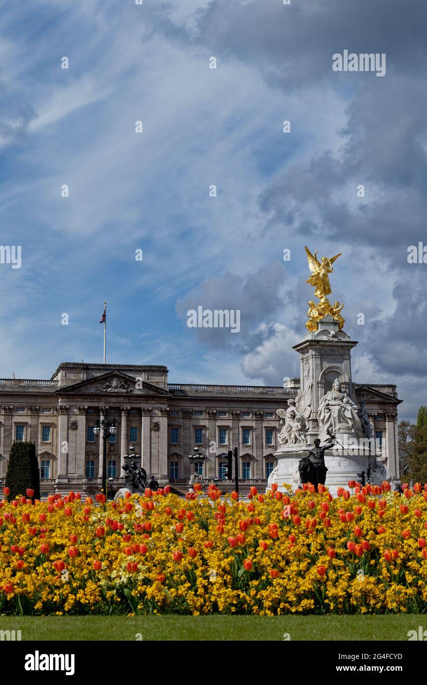 Fiori di primavera bella vista di fronte a Buckingham Palce e il Victoria Memorial a Londra Inghilterra Foto Stock