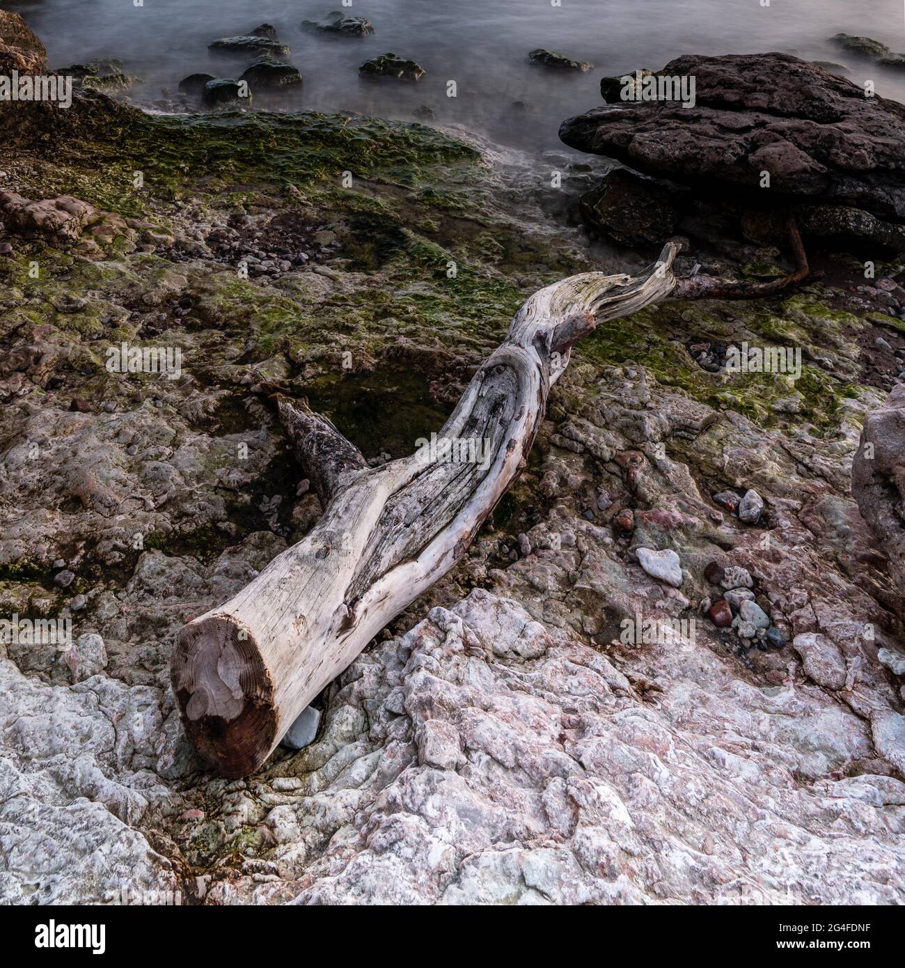 Holmahaellar Naturreservat, Gotland, Svezia Foto Stock