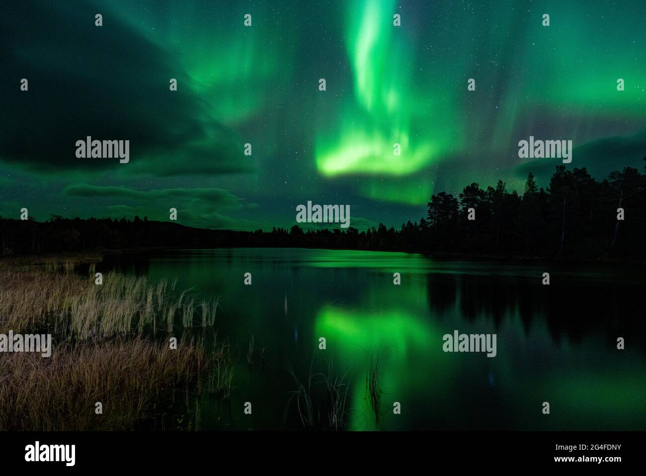 Aurora boreale sopra Abisko, Abisko, Svezia Foto Stock