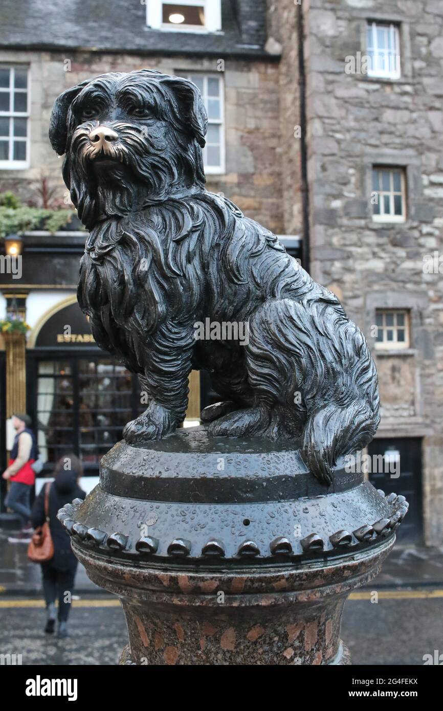 Statua di Greyfriars Bobby, Skye Terrier, Edimburgo, Scozia, Regno Unito Foto Stock