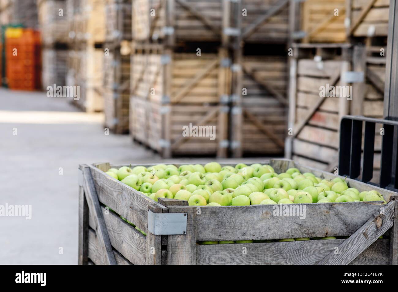 Buon raccolto di succosa frutta fresca matura, biologica, vendita di prodotti, distribuzione in magazzino Foto Stock