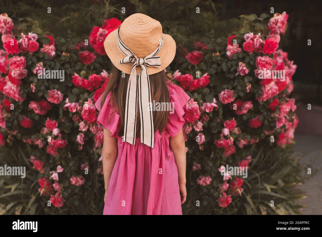 Carino bambina 5-6 anni indossare cappello di paglia con arco e abito estivo in posa con rose da giardino all'aperto. Stagione estiva. Infanzia. Elegante bambino Foto Stock