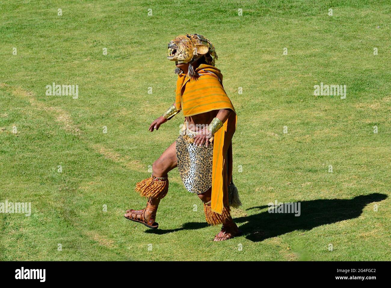 Inti Raymi, Festival del Sole, Inca con maschera Jaguar nel Giardino Sacro, Jardin Sagrado, Cusco, Perù Foto Stock