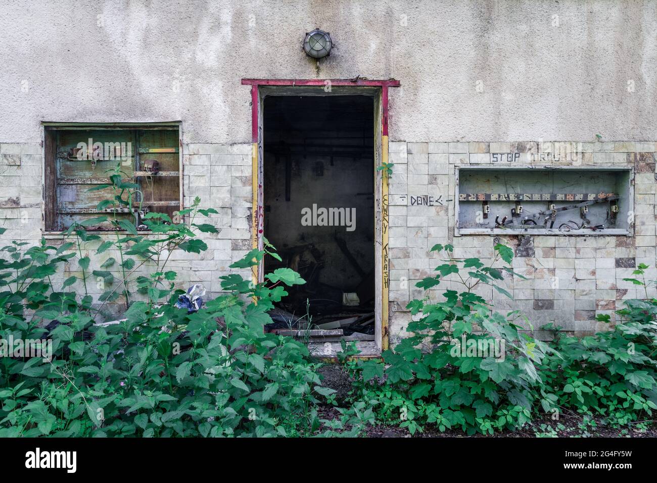 Particolare della porta rotta e della facciata sporca della vecchia casa abbandonata che si sta staccando. Selvaggio spazzato crescendo nella parte anteriore Foto Stock
