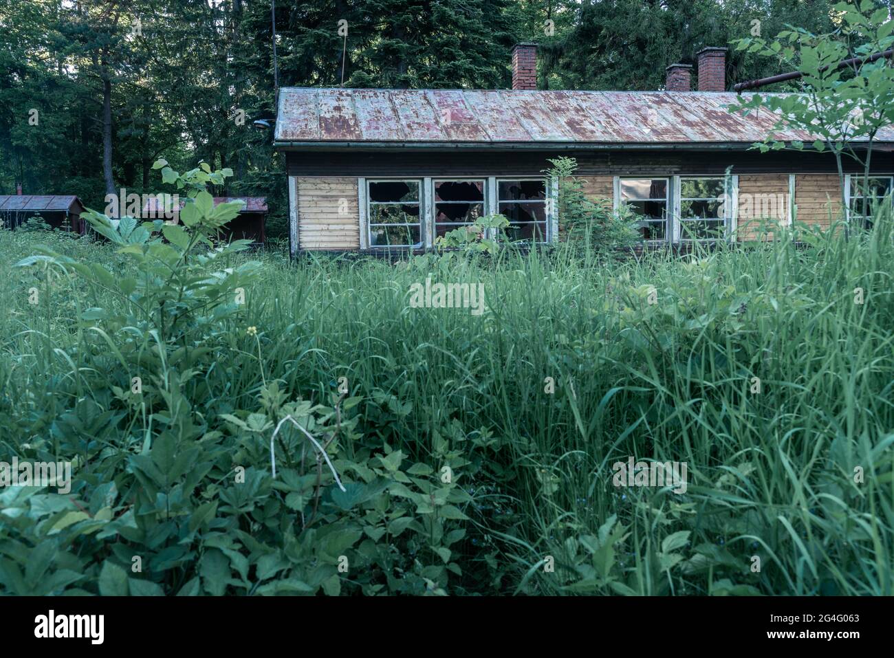 Vecchia casa di legno abbandonata con finestre rotte. Edificio desertato che cade a parte, essendo superato da erbacce e cespugli crescenti Foto Stock