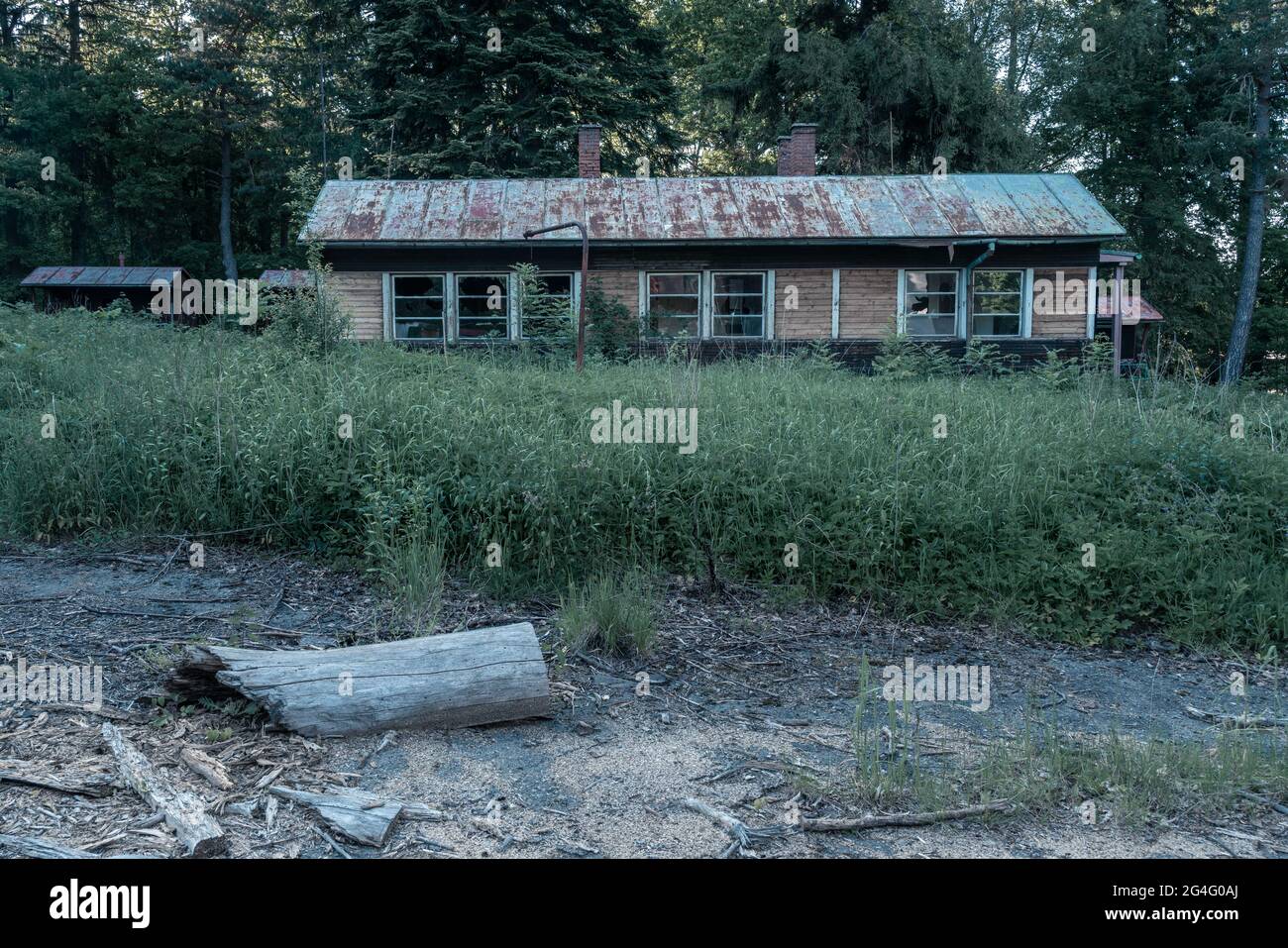 Vecchia casa di legno abbandonata con finestre rotte. Edificio desertato che cade a parte, essendo superato da erbacce e cespugli crescenti Foto Stock