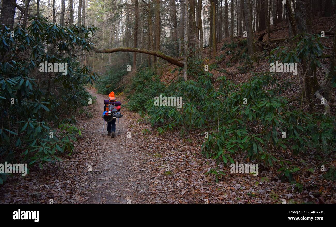 Escursioni sul sentiero Appalachian in Georgia in una buia giornata autunnale Foto Stock