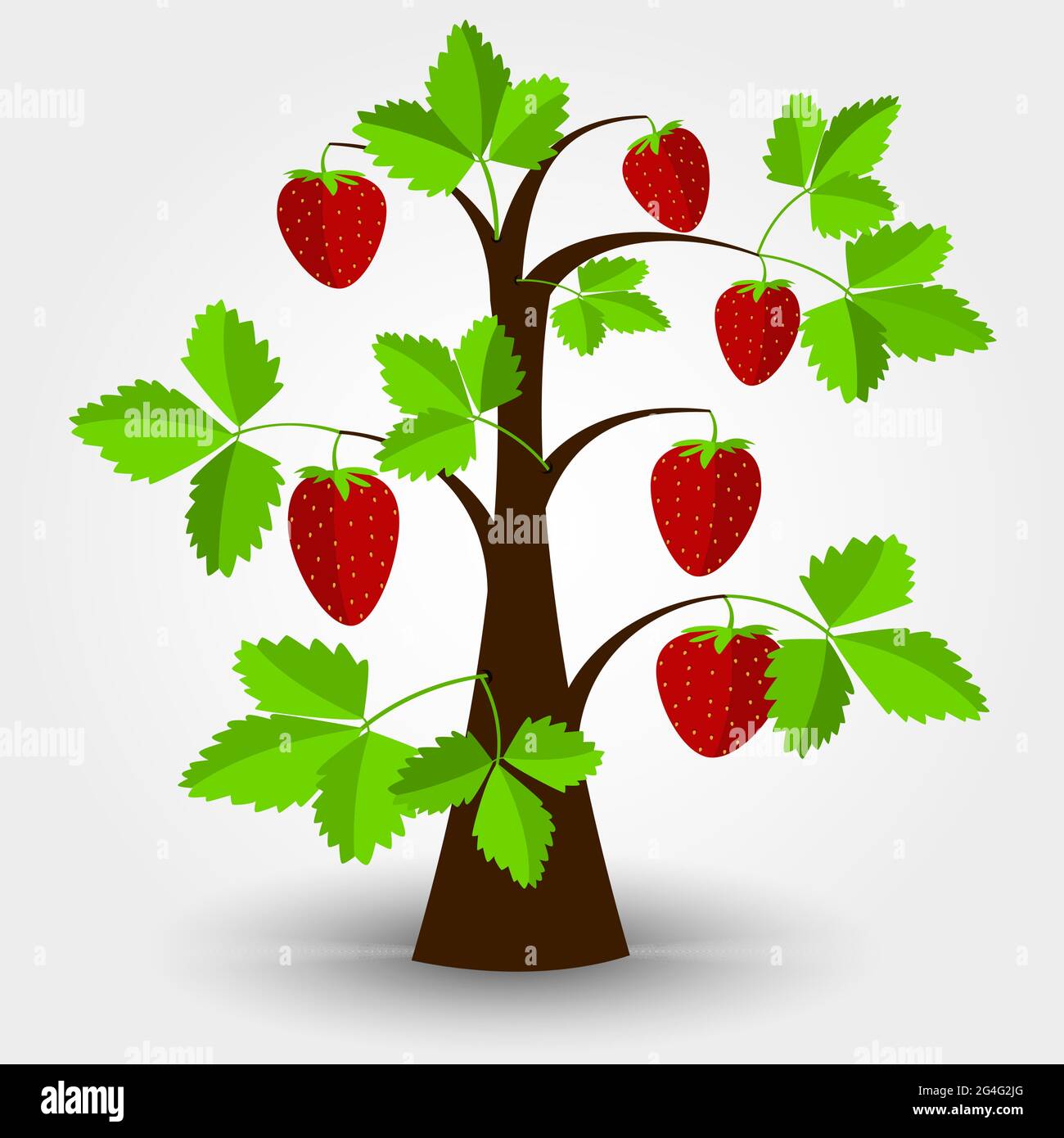 Albero di fragola isolato su uno sfondo grigio con ombra. Modificabile. Illustrazione Vettoriale