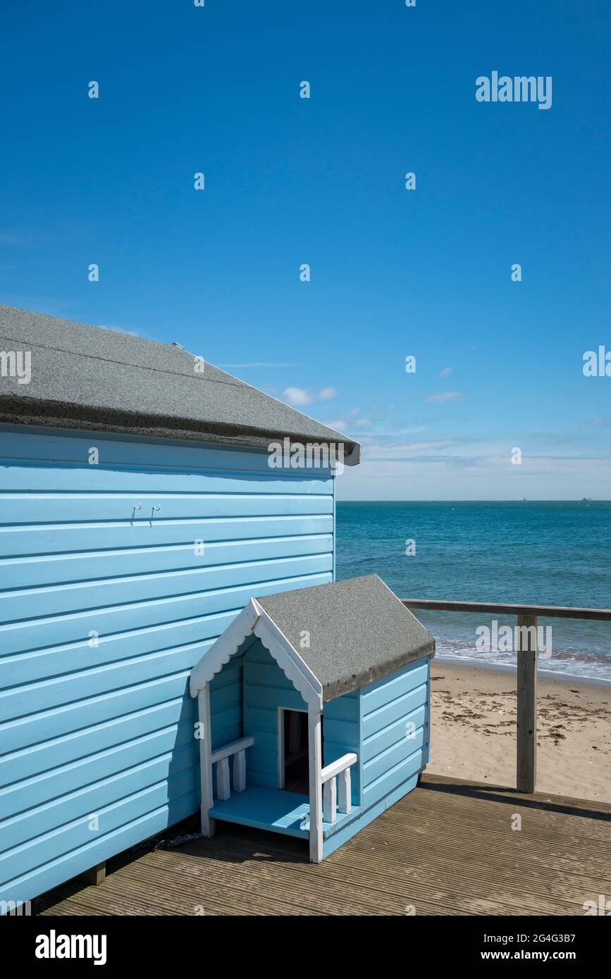 Small Hope Beach sull'Isola di Wight, Inghilterra, Regno Unito Foto Stock