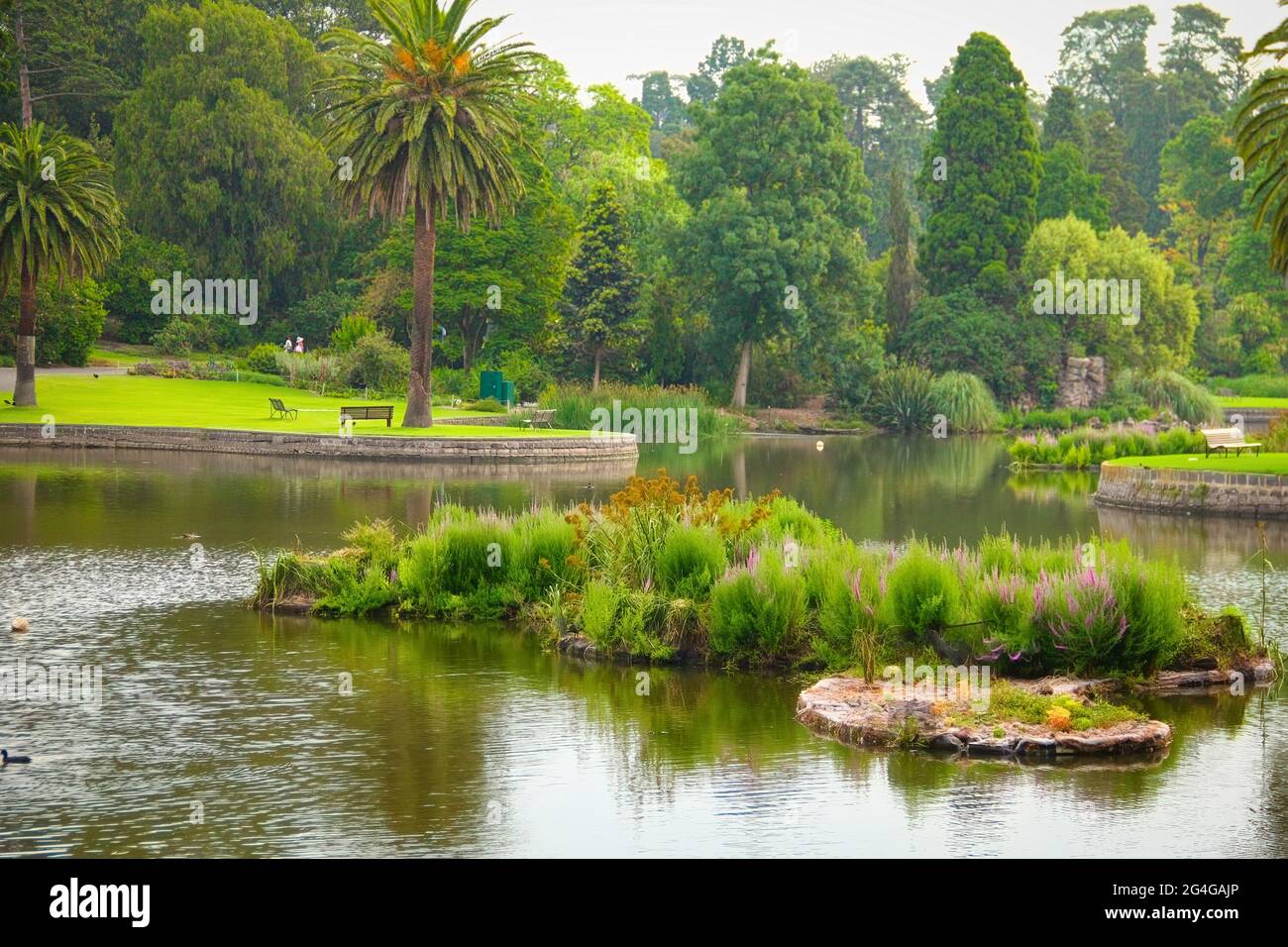 Vista di un piccolo lago in un parco pubblico dei Royal Botanic Gardens Melbourne, Australia Foto Stock