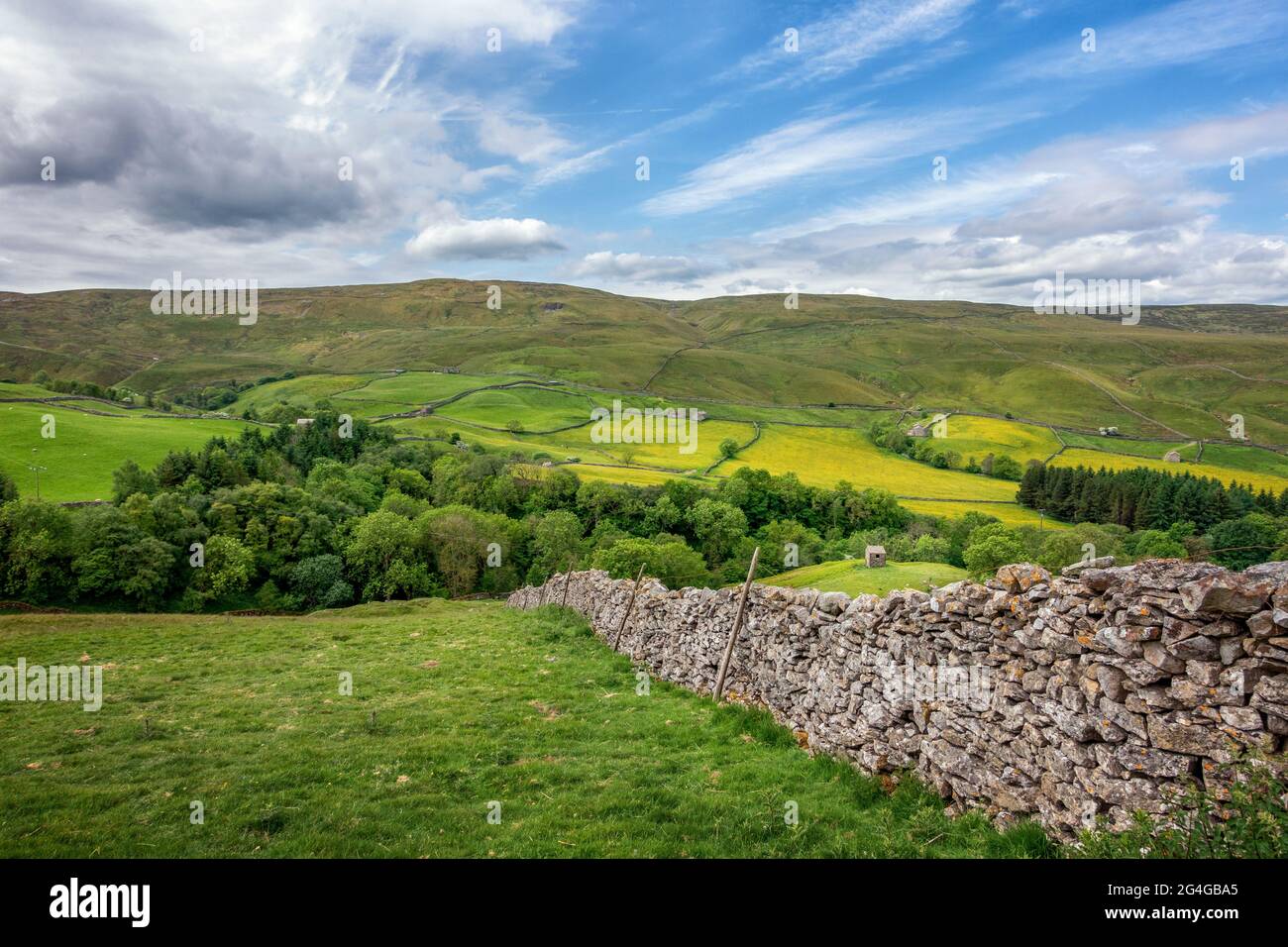 Viste da Oxnop Hill si arrampicano fuori da Swaledale, guardando da Satron Moor con campi pieni di farfalle, Yorkshire Dales National Park, paesaggio britannico Foto Stock
