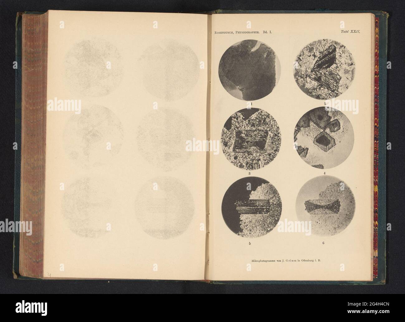 Sei microscopici ingrandimenti di minerali. La Figura 1, 2 e 3 è biotite, 4, 5 e 6 è ottrelite. Foto Stock