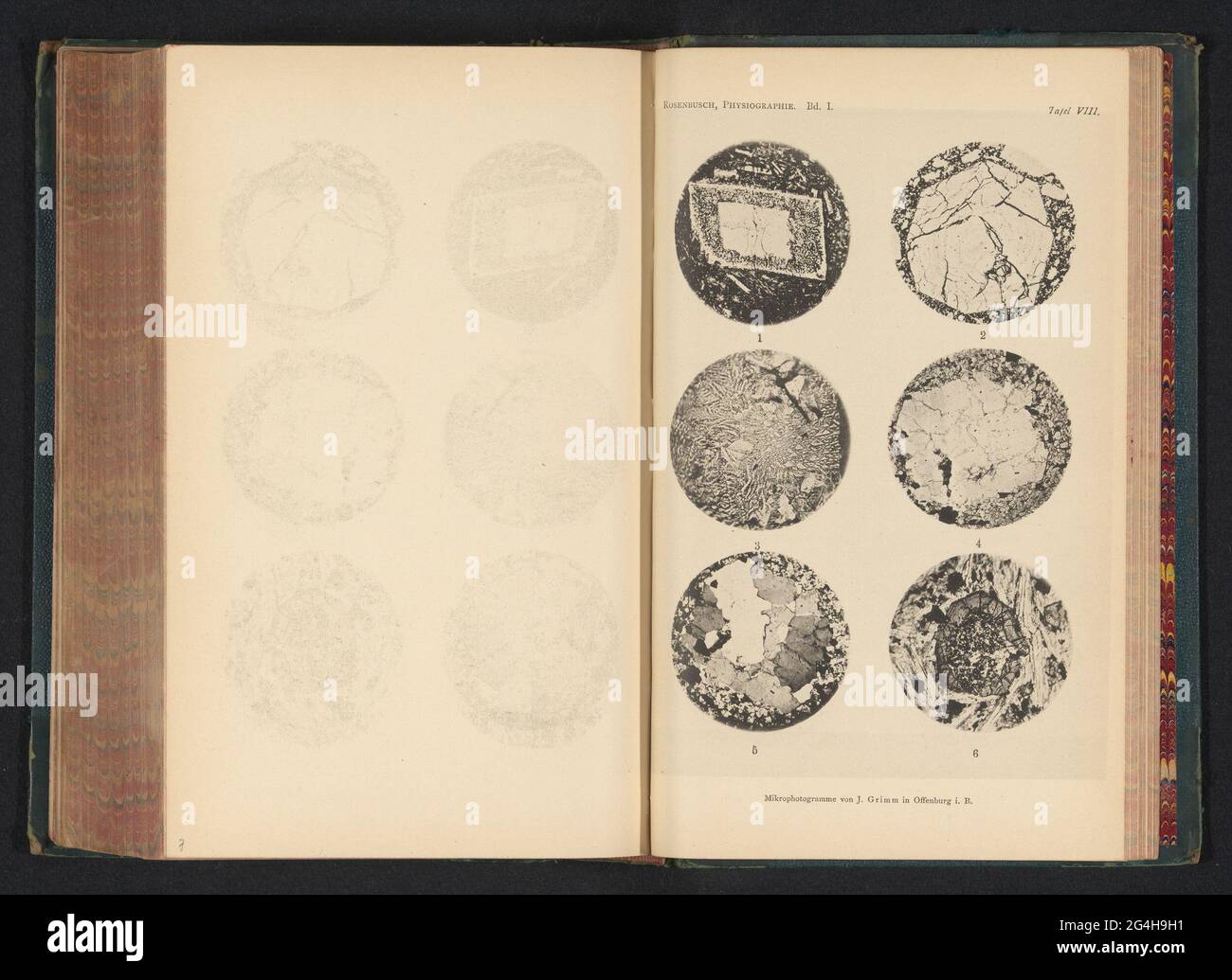 Sei microscopici ingrandimenti di minerali. La figura 1 è feldspare, 2 è leucina in lava, 3 è granificante, 4 è granitica, 5 è granitica e 6 è plagioklaas. Foto Stock