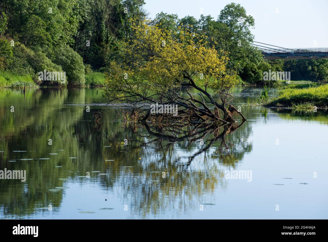 Vista sul fiume Erne a Co. Cavan, Irlanda in estate Foto Stock