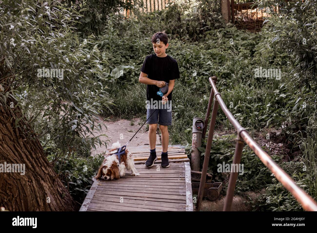 Il ragazzo adolescente cammina con il cane sul ponte in campagna Foto Stock