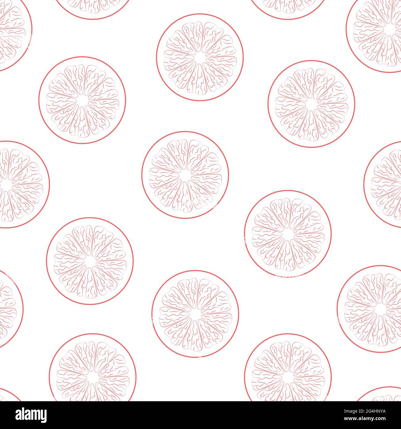 Illustrazione vettoriale con arance rosa in linea su sfondo bianco Illustrazione Vettoriale