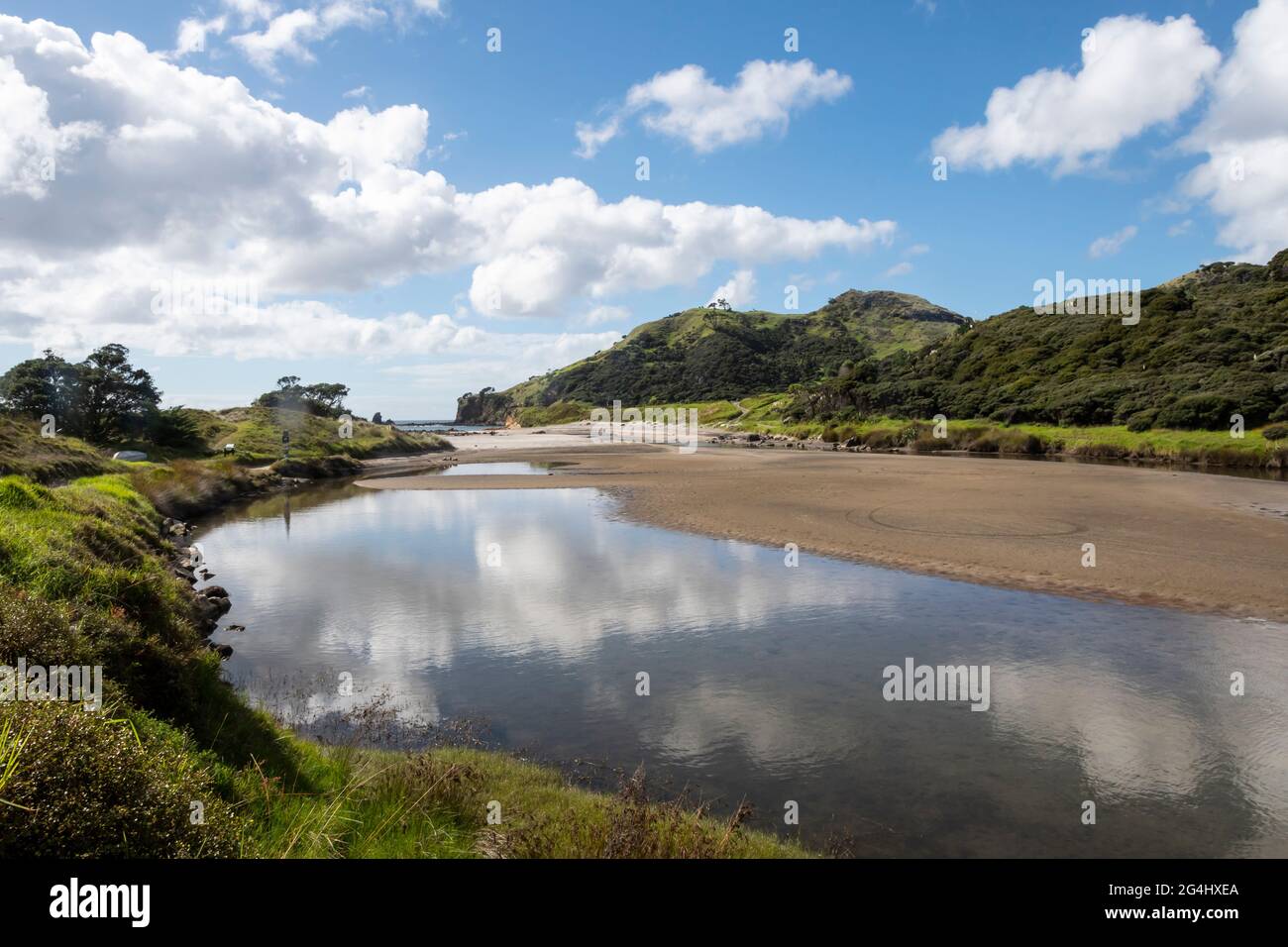 Estuario del fiume Tidal a Medlands Beach, Great Barrier Island, Golfo di Hauraki, Nuova Zelanda Foto Stock