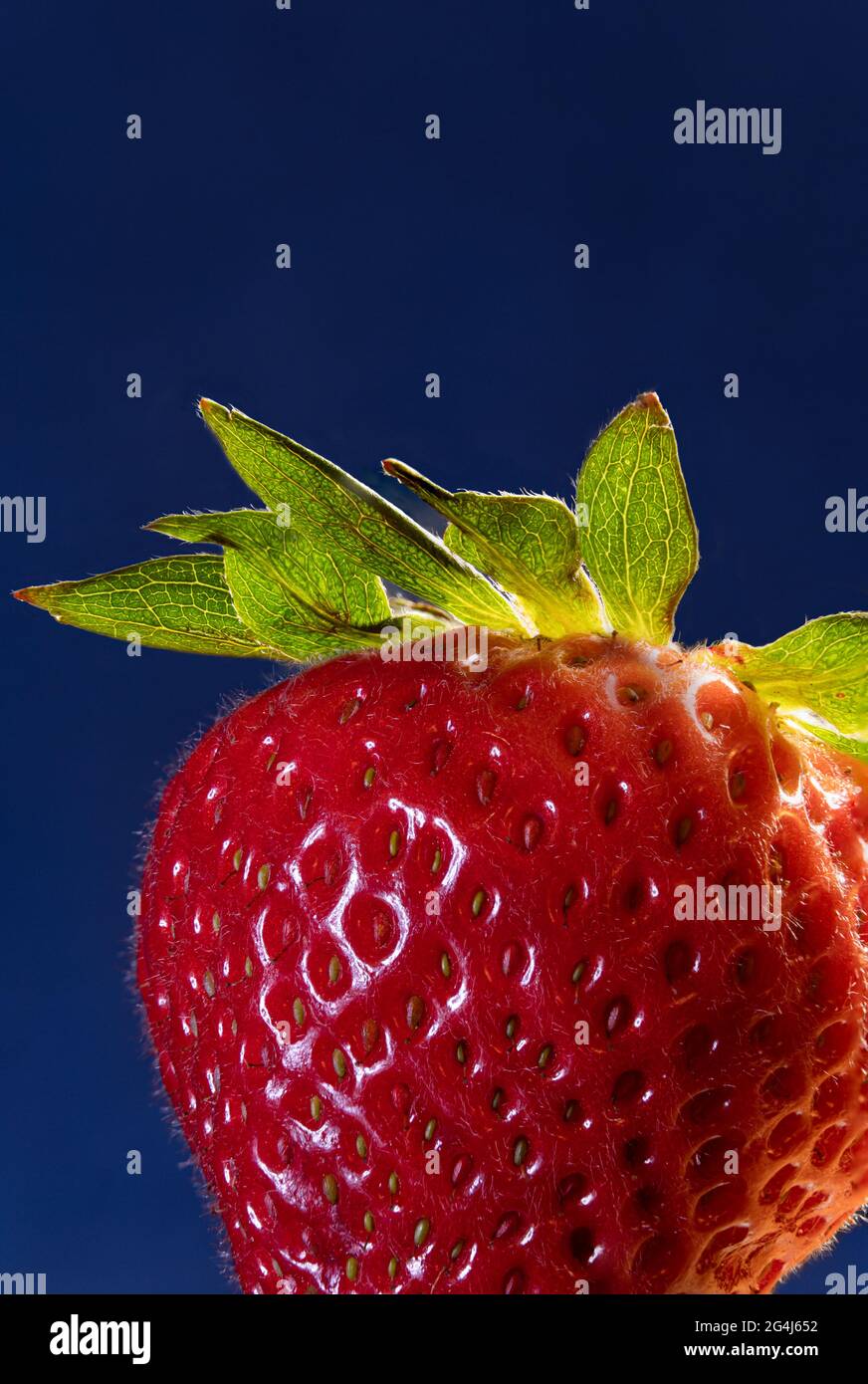 Immagine macro closeup super di una fragola Foto Stock