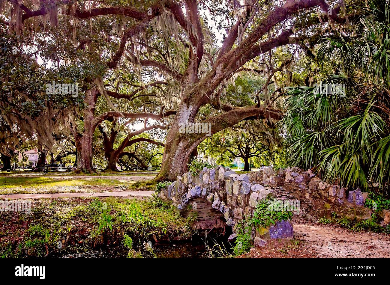 Goldfish Bridge porta a Goldfish Island nel New Orleans City Park, 14 novembre 2015, a New Orleans, Louisiana. Foto Stock