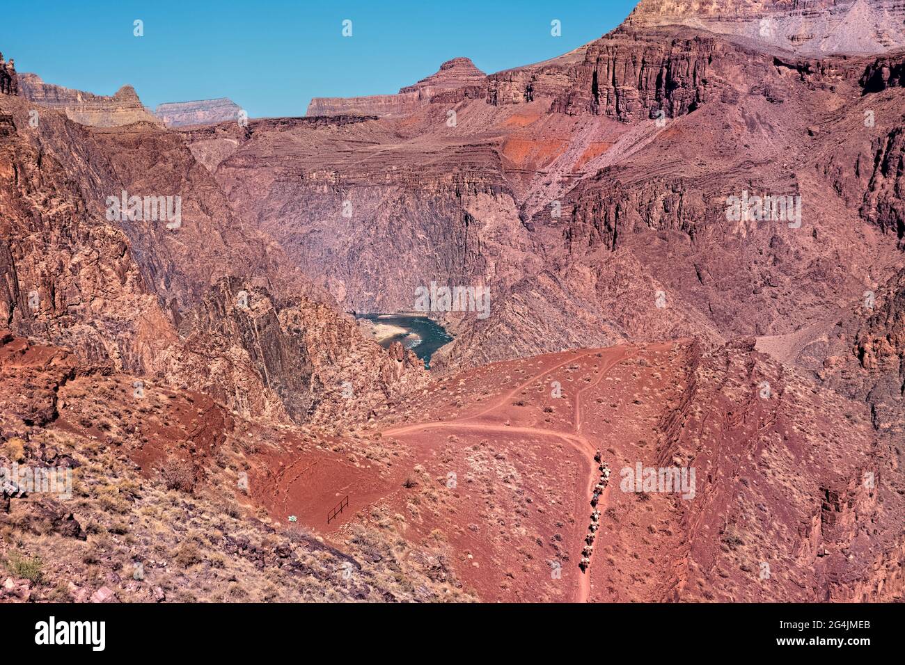 Mule train sul Kaibab Trail sopra il fiume Colorado, il Grand Canyon National Park, Arizona, U.S.A Foto Stock