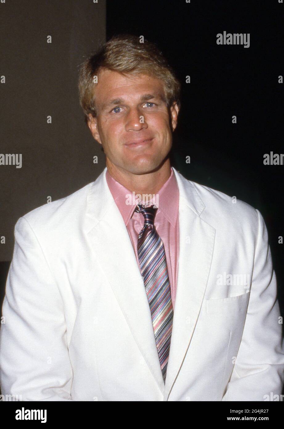 Reb Brown Circa 1980's Credit: Ralph Dominguez/MediaPunch Foto Stock