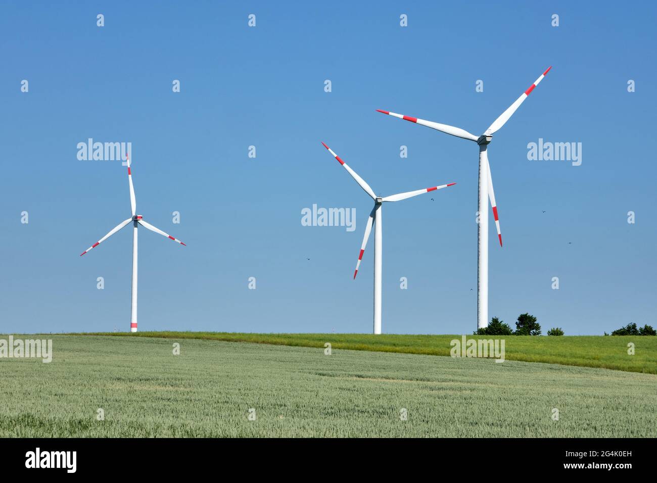 Turbine eoliche in un campo di ghiaino con uccelli volanti visti in Germania Foto Stock