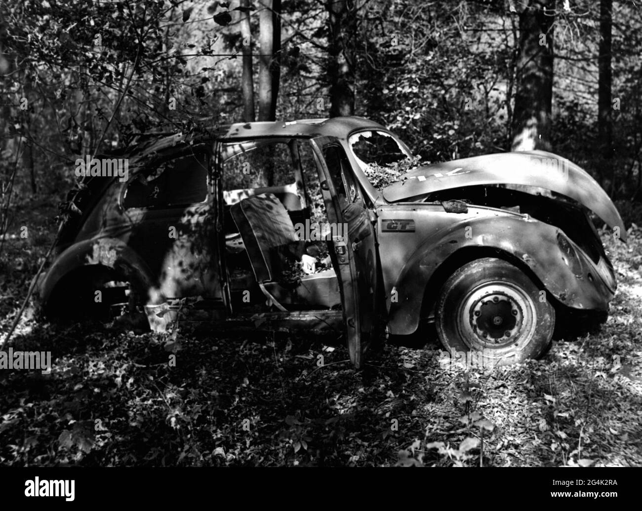 Ambiente, inquinamento ambientale, naufragi di automobili in una foresta vicino Epfach al Lech, alta Baviera, DIRITTI-AGGIUNTIVI-AUTORIZZAZIONE-INFORMAZIONI-NON-DISPONIBILI Foto Stock