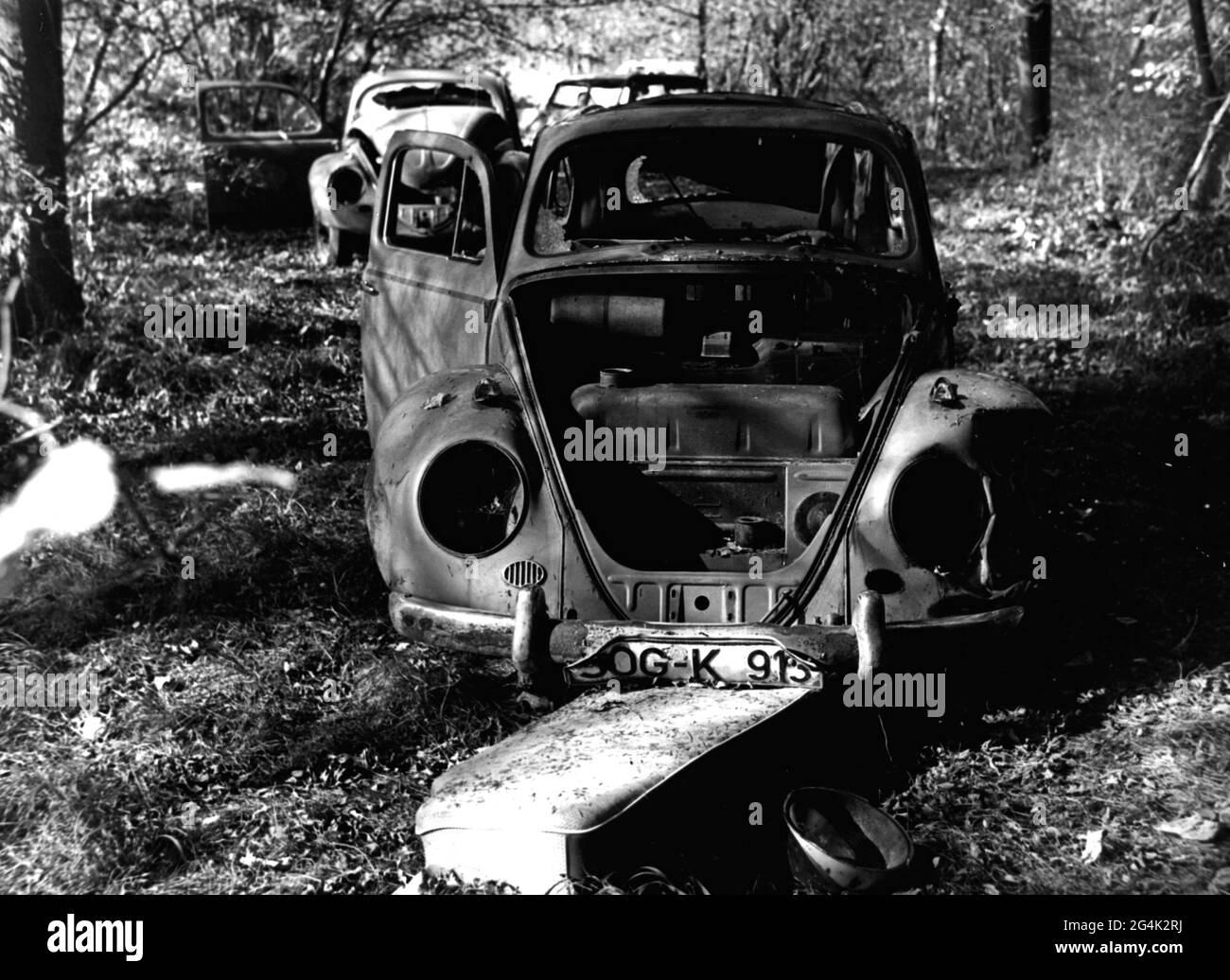 Ambiente, inquinamento ambientale, naufragi di automobili in una foresta vicino Epfach al Lech, alta Baviera, DIRITTI-AGGIUNTIVI-AUTORIZZAZIONE-INFORMAZIONI-NON-DISPONIBILI Foto Stock