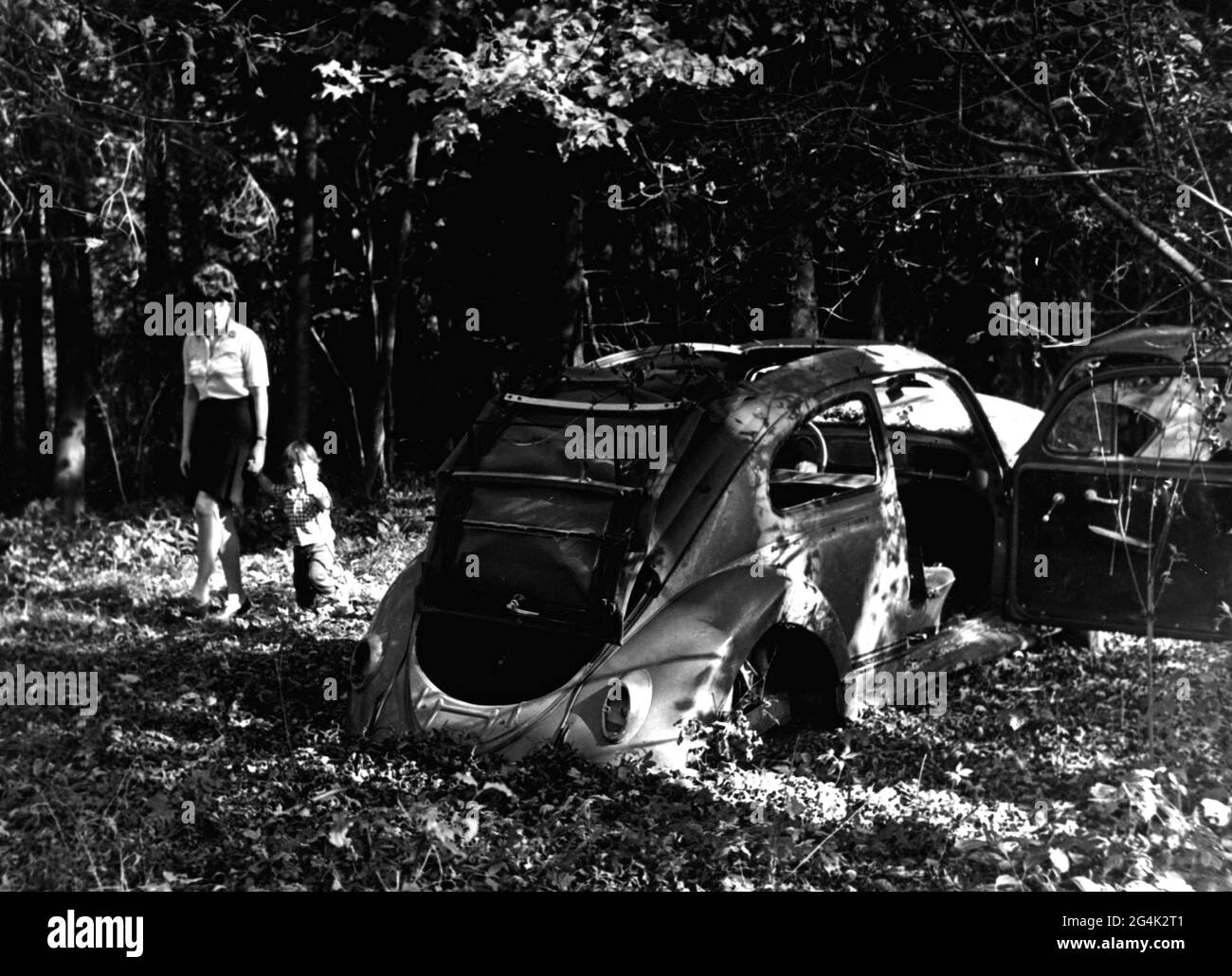Ambiente, inquinamento ambientale, naufragi di automobili in una foresta vicino Epfach al Lech, alta Baviera, DIRITTI-AGGIUNTIVI-AUTORIZZAZIONE-INFORMAZIONI-NON-DISPONIBILI Foto Stock