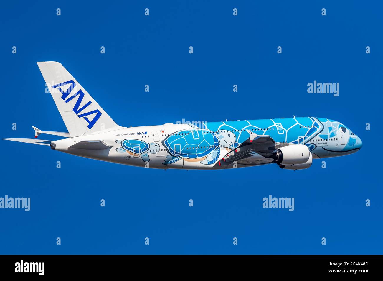 Nantes (Francia nord-occidentale): Blue Turtle Airbus A380 appartenente alla compagnia aerea privata giapponese All Nippon Airways. ANA sta progettando un certo numero di futur Foto Stock