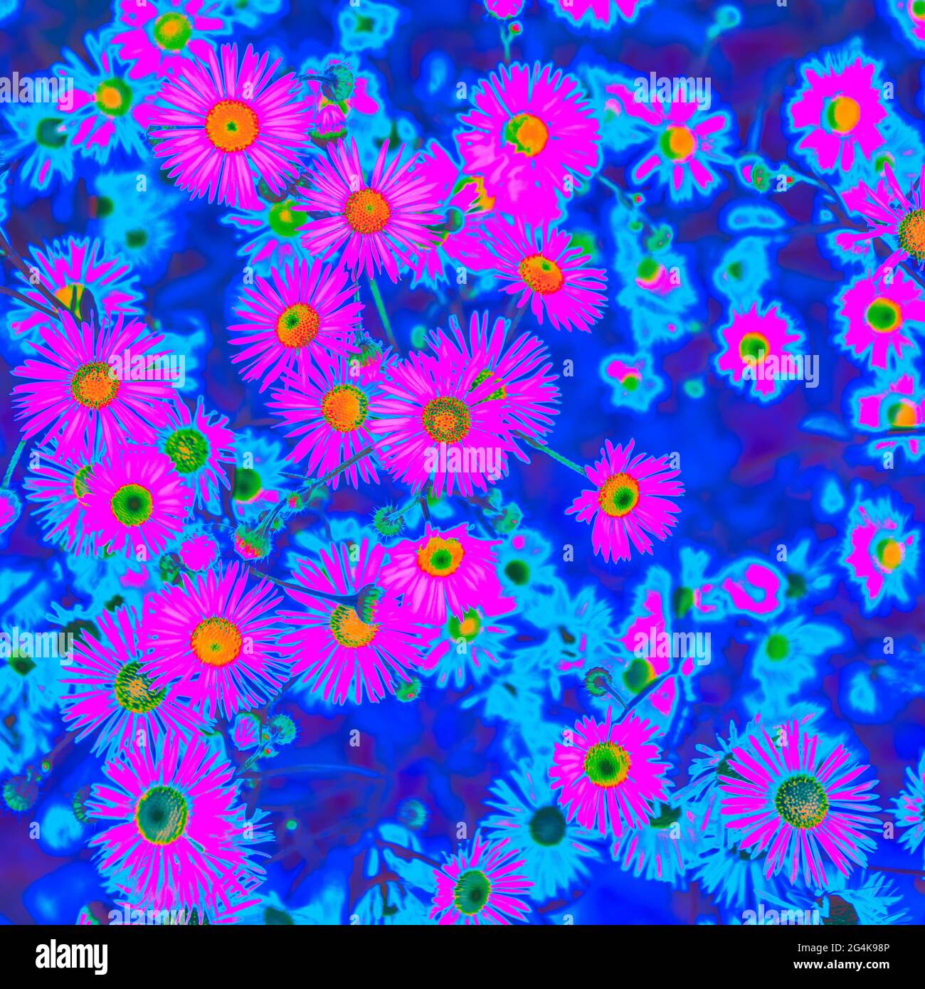 Fiori estivi di colore neon olografico rosa brillante Foto Stock