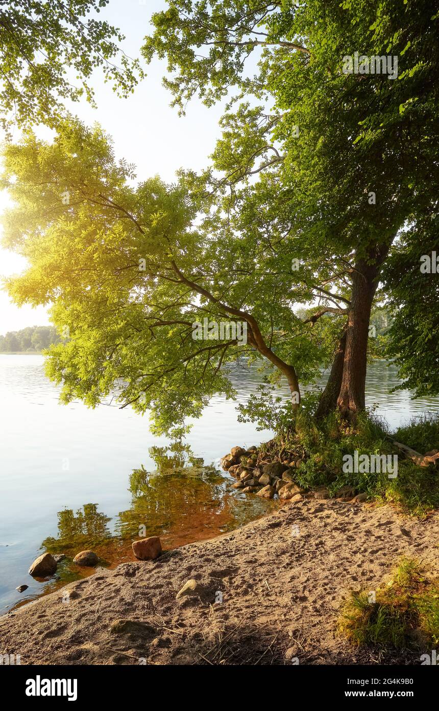 Riva del lago di Drawsko, il secondo lago più profondo della Polonia, al tramonto. Foto Stock