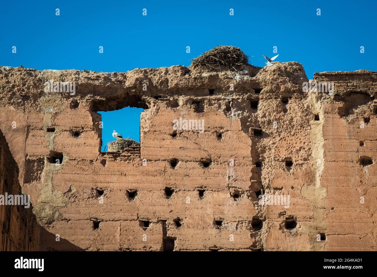 Palazzo Bahia, Marrakech, Marocco, Africa Settentrionale, Africa Foto Stock
