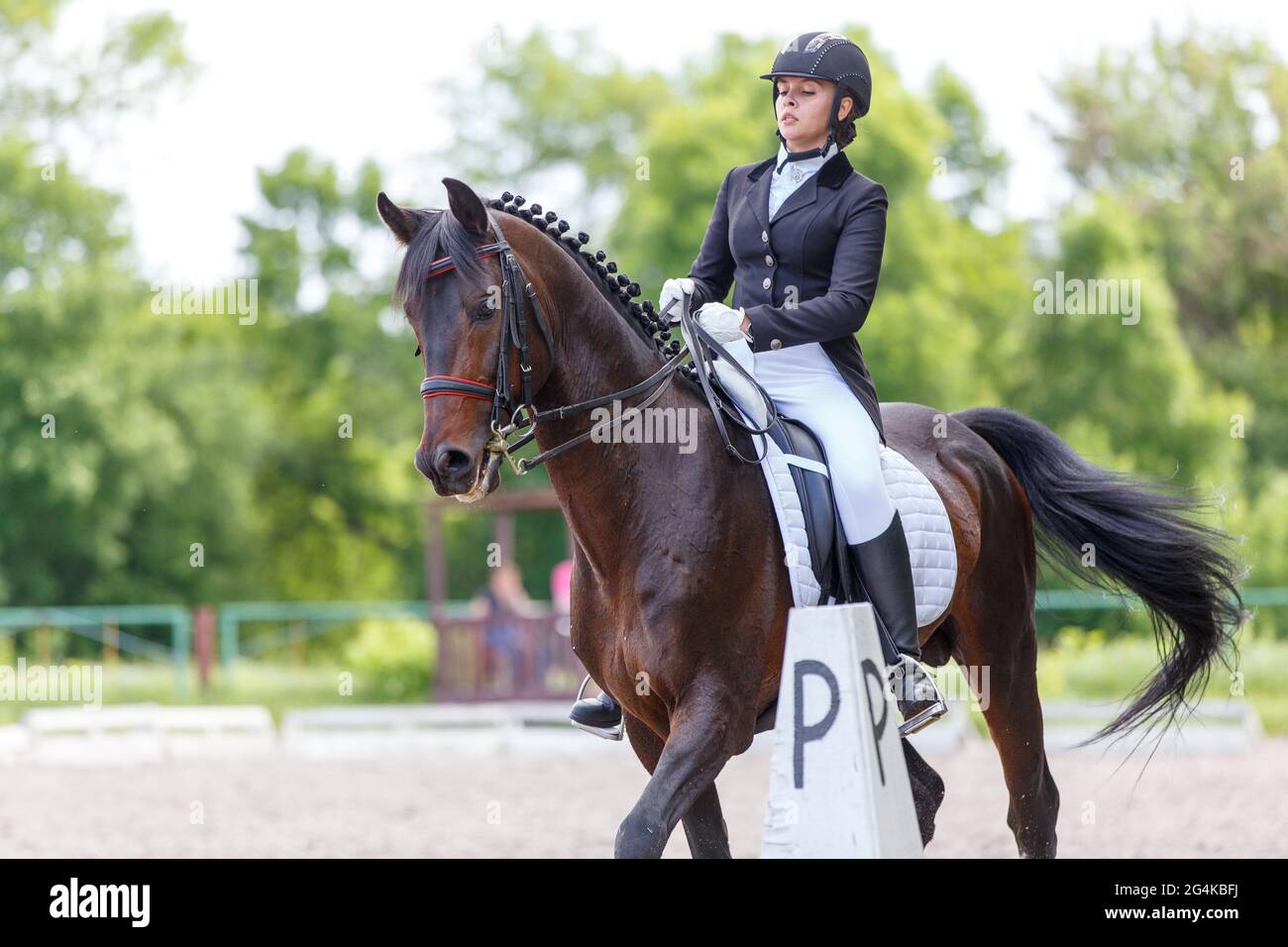 Giovane sportivo cavalcare cavallo su dressage test Foto Stock