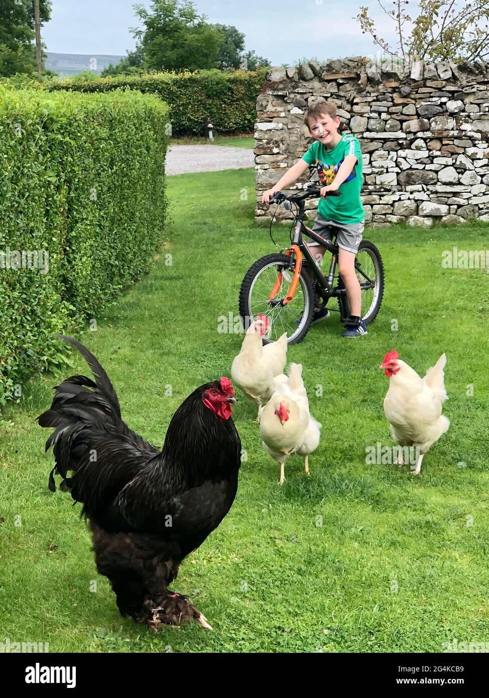 Bicicletta per bambini al Caravan Park con polli in loco Foto Stock