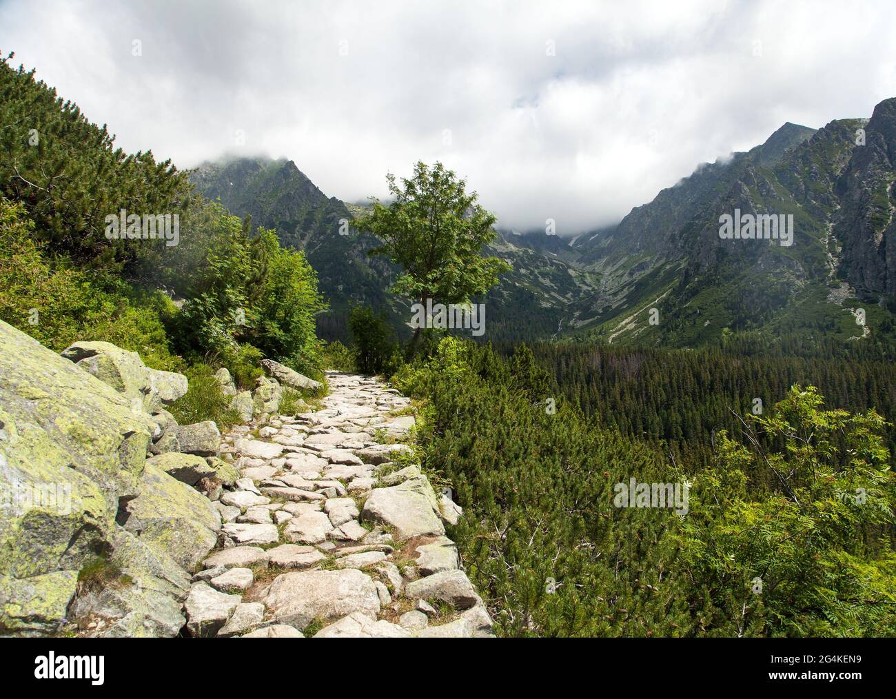 Sentiero di montagna in pietra nel Vysoke Tatry o alti Tatra montagne, Carpathia, Slovacchia Foto Stock