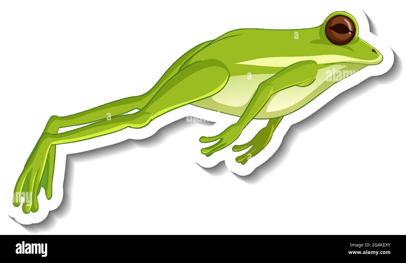 Un modello di adesivo con una rana verde che salta un'illustrazione isolata Illustrazione Vettoriale