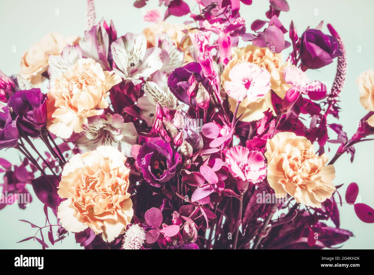 Fiori di bouquet con garofani, Alstroemeria ed Eustoma. Immagine colorata. Primo piano. Foto Stock