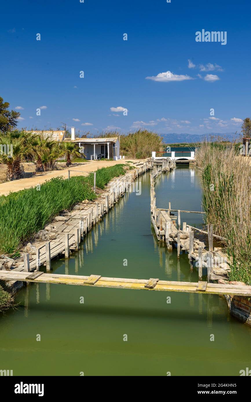 Vicenç pesca sull'isola di Buda nel delta dell'Ebro (Tarragona, Catalogna, Spagna) ESP: Pesquería d'en Vicenç, en la isla de Buda del Delta del Ebro Foto Stock