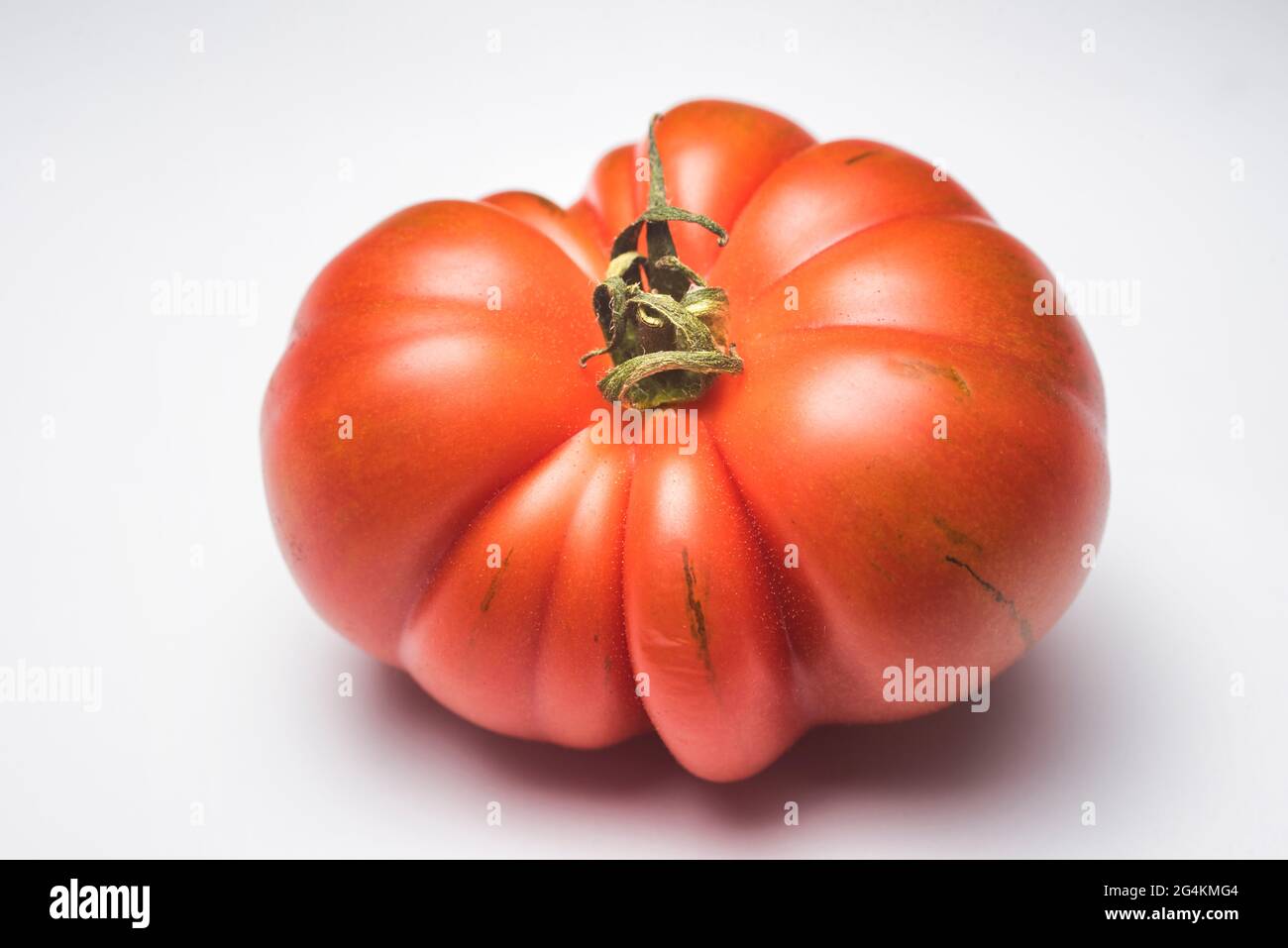 Pomodoro Costoluto Pachino su fondo bianco, Sicilia, Italia, Europa Foto Stock