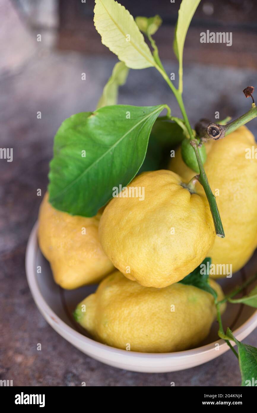Limoni siciliani in piatto di ceramica Foto Stock