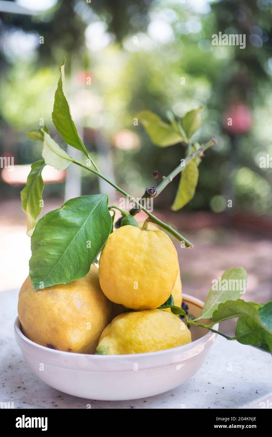 Limoni siciliani in piatto di ceramica Foto Stock
