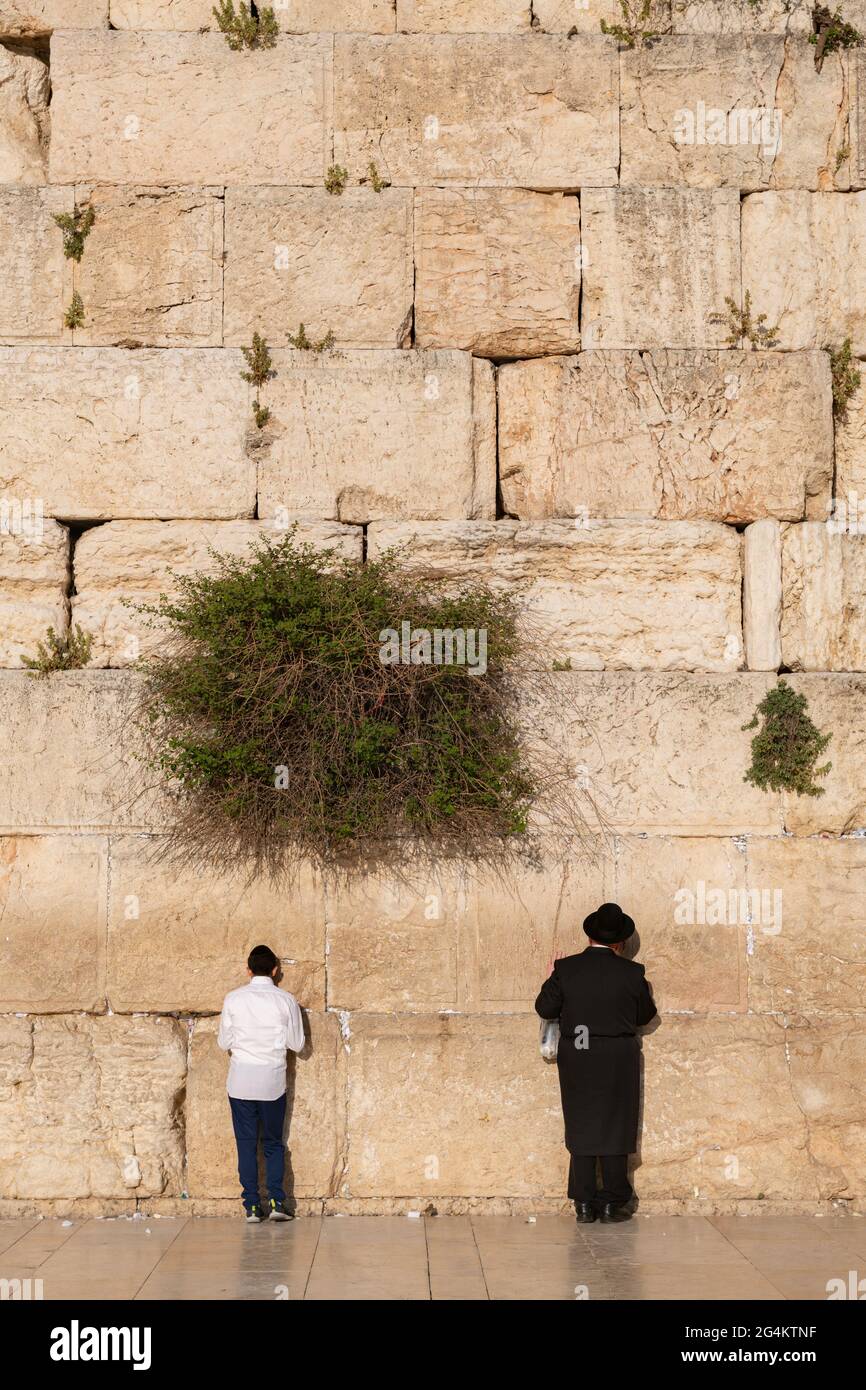 Persone che pregano al Muro Occidentale (chiamato anche Kotel o Wailing Wall) nel quartiere ebraico della Città Vecchia di Gerusalemme, Israele. Foto Stock