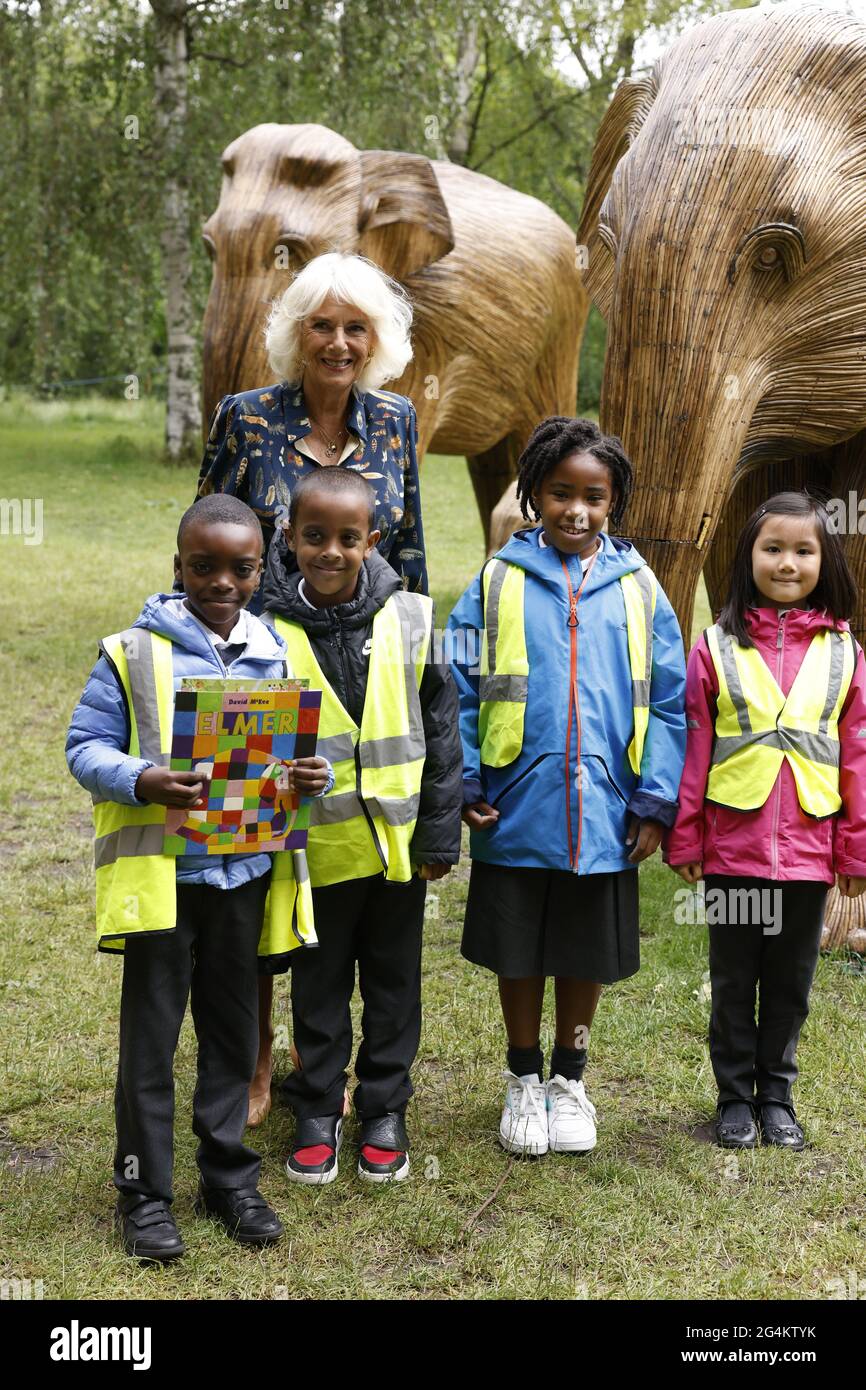 La Duchessa di Cornovaglia, Patrona del National Literacy Trust e Joint President della Elephant Family, insieme agli studenti di scuola nel St James's Park, nel centro di Londra, per il lancio del loro Story Trail. Data immagine: Martedì 22 giugno 2021. Foto Stock