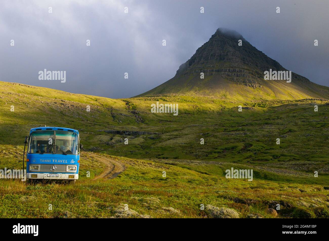 Paesaggio nei fiordi orientali, Islanda, Europa Foto Stock