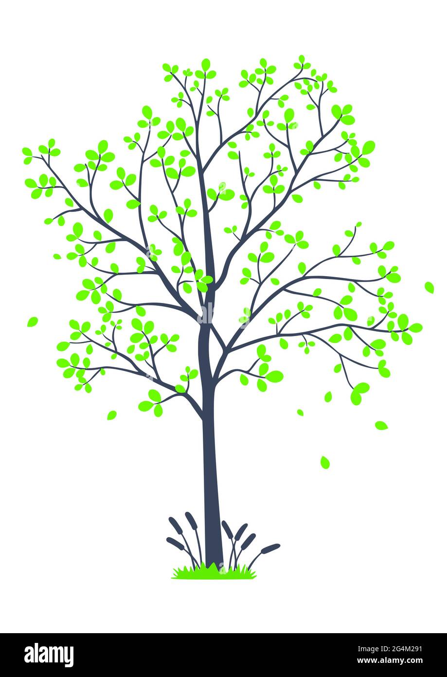 Bel ramo albero silhouette sfondo per carta da parati Foto Stock