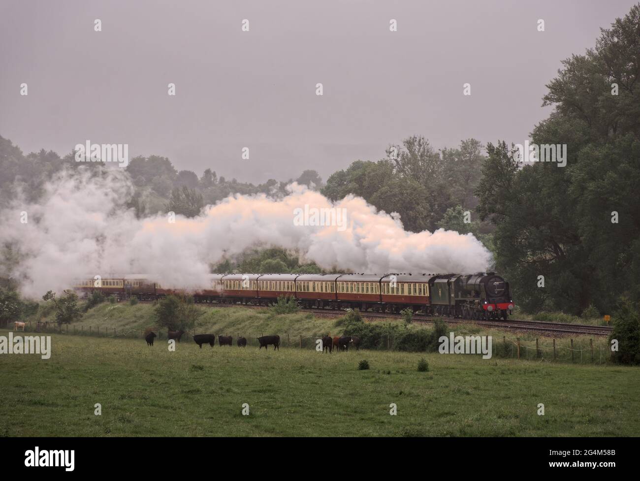 Royal Scot fuori dalla nebbia sulla 'English Riviera Express' Foto Stock