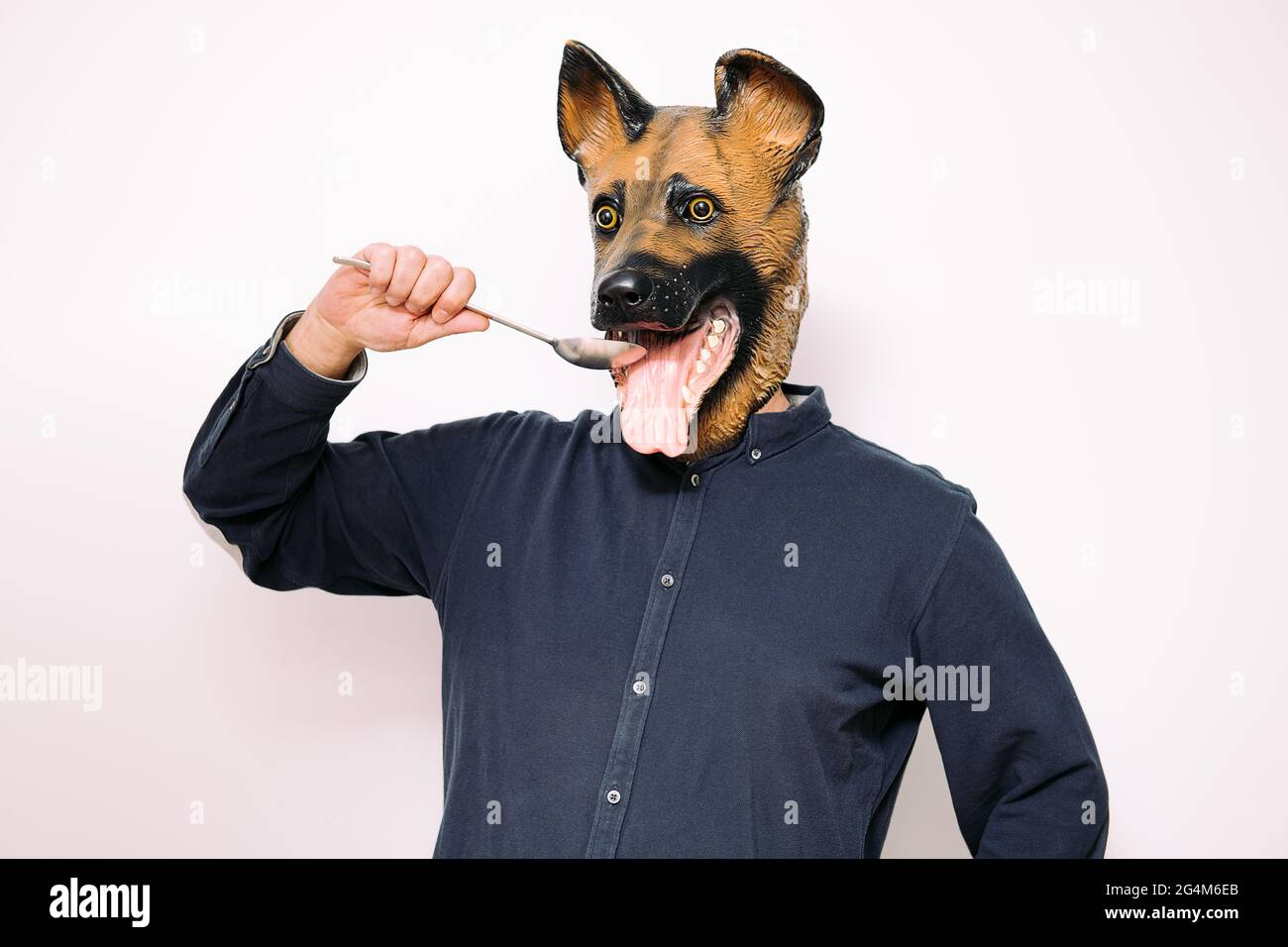 persona con una maschera cane mangiare con un cucchiaio su sfondo bianco, concetto di cibo per animali domestici Foto Stock