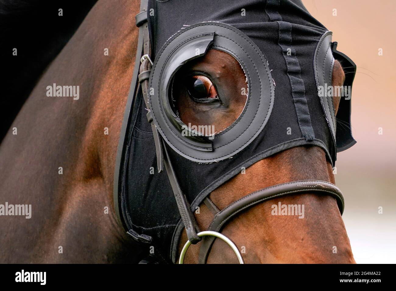 Un corridore che indossa persiane all'ippodromo di Brighton. Data immagine: Martedì 22 giugno 2021. Foto Stock